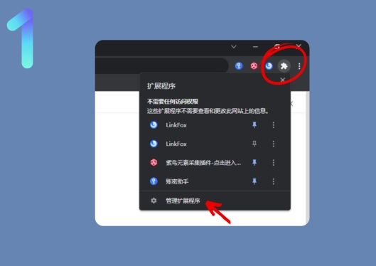 进入紫鸟浏览器的扩展市场